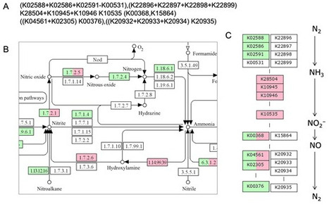 KEGG for characterizing genomes and pathways in the biosphere | nar | RMH | Scoop.it