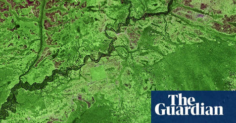 ‘Taking the pulse of the planet’: could we monitor biodiversity from space as we do the weather?  | RAINFOREST EXPLORER | Scoop.it