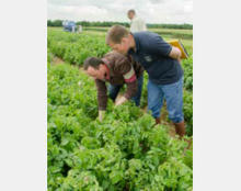 [Article] Biocontr&ocirc;le, quel d&eacute;veloppement ? | Ecophytopic | TRANSITION AGROECOLOGIQUE : PRATIQUES ET POLITIQUES AGRICOLES | Scoop.it