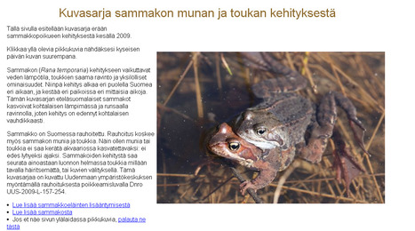 Sammakon kehitys | 1Uutiset - Lukemisen tähden | Scoop.it