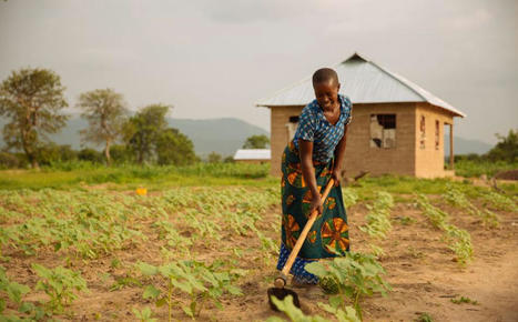 Agroecology, food sovereignty and the 5th U.N. Conference for Least Developed Countries | IATP | Agroecologie et Systèmes Alimentaires Durables | Scoop.it