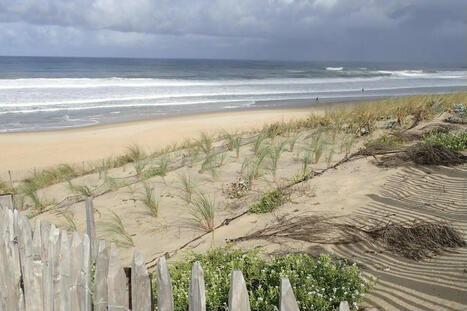 Quand la nature nous protège : le pouvoir des dunes face au climat | Regards croisés sur la transition écologique | Scoop.it