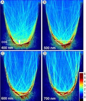 Los conos en la retina de los peces elefante forman un cristal fotónico que les permiten ver colores a través de aguas turbias | Ciencia-Física | Scoop.it
