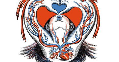 Opinion - Why Your Cardiologist Should Ask About Your Love Life | Hospitals and Healthcare | Scoop.it