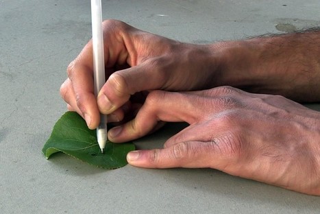 Smart Pens Can Draw Biosensors On Your Skin | mHealth- Advances, Knowledge and Patient Engagement | Scoop.it