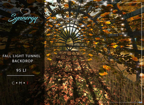 Fall Light Tunnel Backdrop November 2021 Group Gift by Synnergy | Teleport Hub - Second Life Freebies | Second Life Freebies | Scoop.it