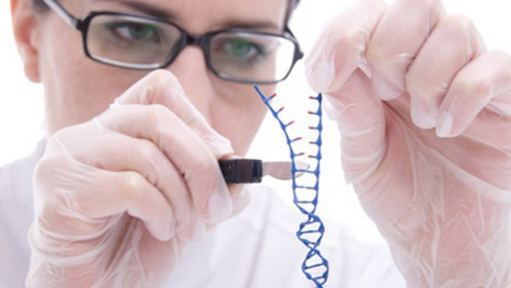 New STITCHR tool offers a promising step forward for gene therapy | Genetic Engineering Publications - GEG Tech top picks | Scoop.it