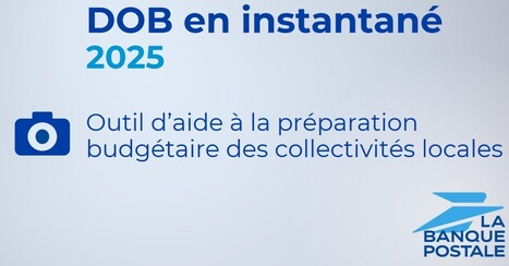 DOB en instantané 2025 - Outil d’aide à la préparation budgétaire des collectivités locales | Veille juridique du CDG13 | Scoop.it