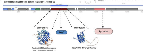 WasteFams: A database of protein families from global wastewater microbiomes | brvbi | RMH | Scoop.it