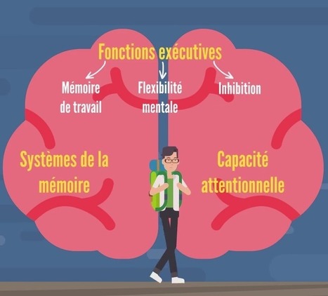 ANALYSE / Que sont les sciences de l'apprentissage ? | Innovation et transformation p&eacute;dagogique | Scoop.it