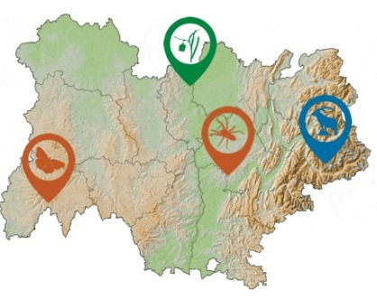 Un tiers de la biodiversit&eacute; est menac&eacute; en Auvergne-Rh&ocirc;ne-Alpes | EntomoNews | Scoop.it