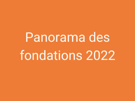 Panorama des fondations 2022 | Co-construction, mécénat et philanthropie | Scoop.it