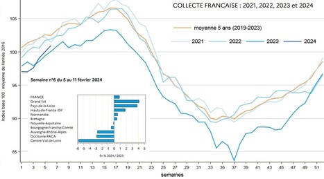 4 raisons d’attendre une reprise de la collecte en 2024 | Lait de Normandie... et d'ailleurs | Scoop.it