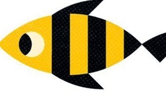 Don't spoil this happy fish story | Coastal Restoration | Scoop.it