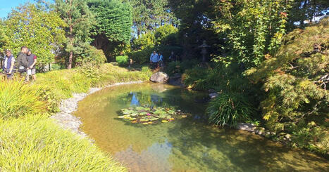 PHOTOS&nbsp;: le jardin japonais du Havre a exceptionnellement ouvert ses portes pendant trois jours | Veille territoriale AURH | Scoop.it