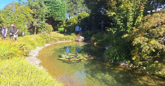 PHOTOS&nbsp;: le jardin japonais du Havre a exceptionnellement ouvert ses portes pendant trois jours | Veille territoriale AURH | Scoop.it