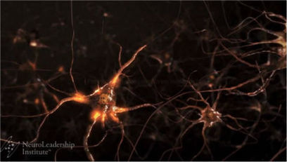 Collective Intelligence vs The Wisdom of Crowds - collaboration at work - Robertson Cooper | Peer2Politics | Scoop.it