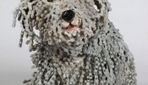 Amazingly Realistic Dog Sculptures Created From Bicycle Chains | Best of Design Art, Inspirational Ideas for Designers and The Rest of Us | Scoop.it