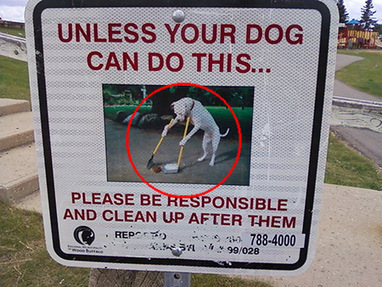 Environmental Print (Funny Street Signs) - Lessons - Blendspace