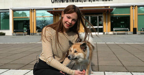 Piller för ett längre hundliv? Så sprids trenden till husdjuren | 1Uutiset - Lukemisen tähden | Scoop.it
