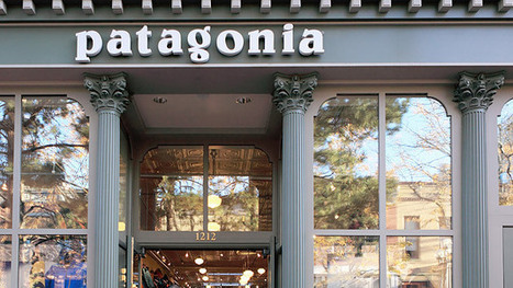 Patagonia's 'Buy Less' Plea Spurs More Buying | consumer psychology | Scoop.it