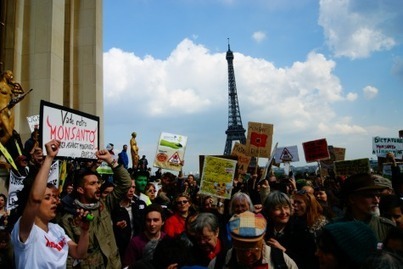 Le jour où le monde a marché contre Monsanto | Ces infos qui nous font du bien | Scoop.it