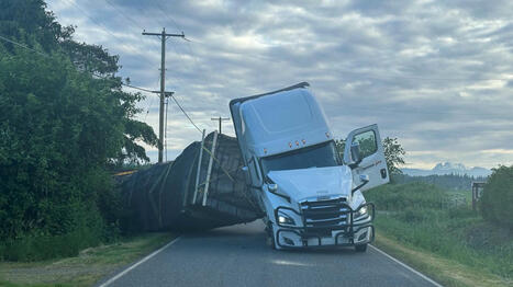 Quelque 250 millions d'abeilles s'échappent d'un camion aux Etats-Unis après un accident de la route | Essentiels et SuperFlus | Scoop.it