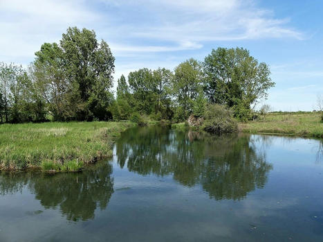 Les politiques des collectivit&eacute;s pour les zones humides : quels enseignements ? | Parcs nationaux, r&eacute;gionaux et autres espaces naturels prot&eacute;g&eacute;s | Scoop.it