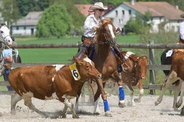 Mélanie Binggeli championne de Suisse de team penning | Cheval et sport | Scoop.it