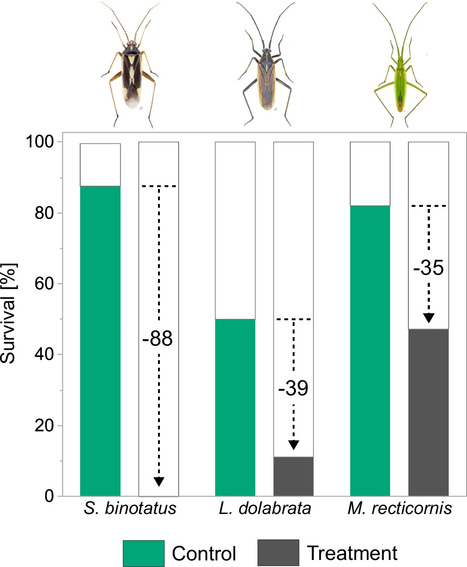 Les abeilles pourraient être plus exposées à l’acétamipride que nous l’avions estimé jusqu'à présent, et d'autres populations d'insectes aussi | EntomoNews | Scoop.it
