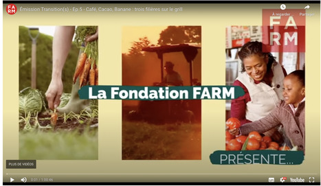 AGRICULTURE : Café, Cacao, Banane : trois filières sur le grill – Transition(s) Ép.5  – Fondation FARM | CIHEAM Press Review | Scoop.it