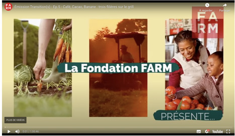 AGRICULTURE : Caf&eacute;, Cacao, Banane : trois fili&egrave;res sur le grill &ndash; Transition(s) &Eacute;p.5&nbsp; &ndash; Fondation FARM | CIHEAM Press Review | Scoop.it