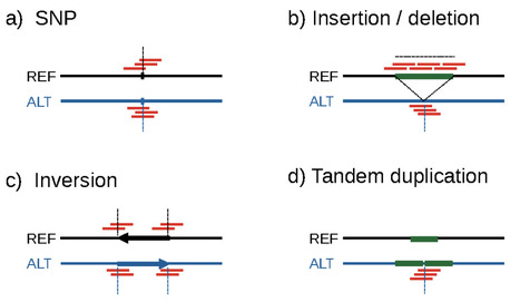 Review in Genes • Belzile Lab 2023 • k-mer-Based Genome-Wide Association Studies in Plants: Advances, Challenges, and Perspectives | Reviews | Scoop.it