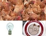 Gli effetti sull'ambiente del decreto Salva-Italia | Certificazione Energetica degli Edifici | Scoop.it