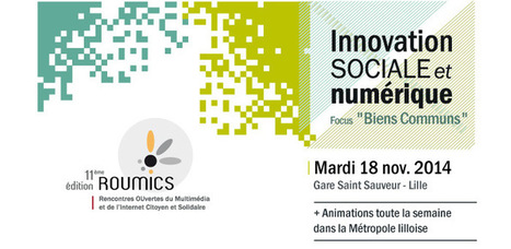 ROUMICS : Innovation sociale et numérique | Libre de faire, Faire Libre | Scoop.it