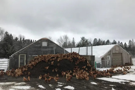 How depackaging is radically changing the organics recycling market in Vermont | Industry 411 - Waste Management | Scoop.it
