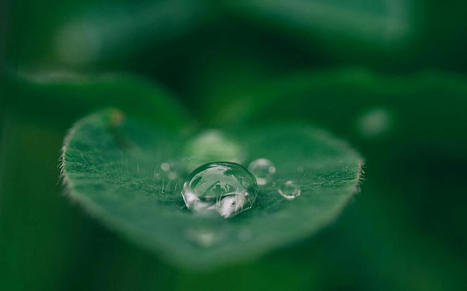 BCD earns third EcoVadis Platinum and has science-based target validated | EcoVadis Customer Success Stories | Scoop.it