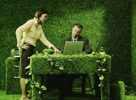 Un ufficio tutto verde | Edifici Ecosostenibili e Biocompatibili | Scoop.it