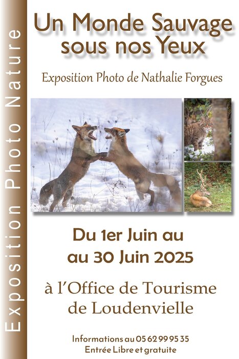 Expo de photos animalières à Loudenvielle jusqu'au 30 juin | Vallées d'Aure & Louron - Pyrénées | Scoop.it