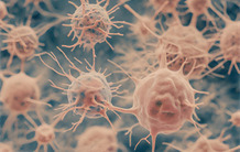 Dérégulation d’une population de précurseurs de cellules dendritiques dès les stades précoces de l’infection au VIH | Life Sciences Université Paris-Saclay | Scoop.it