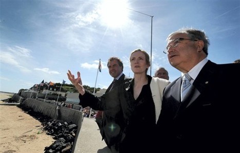 Éoliennes : la ministre de l’Ecologie veut rassurer les pêcheurs | Energies Renouvelables | Scoop.it
