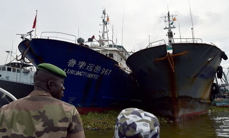Pêche illégale : Un bateau chinois arraisonné dans les eaux territoriales | GREENEYES | Scoop.it