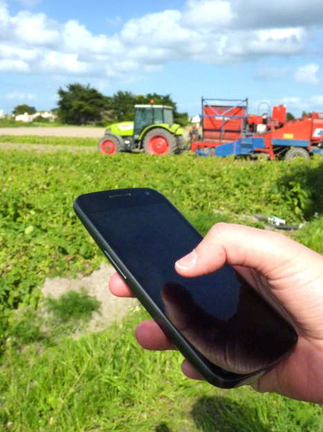 Les usages du numérique servent-ils toujours la durabilité des exploitations ? Le cas des maraîchers en France - Economie rurale | Pour innover en agriculture | Scoop.it