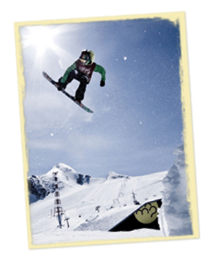 Go offline - Go for Ski | News aus der Seilbahn- und Wintersportwelt -- Nouvelles du monde des remontées mécaniques et du sport d'hiver | Scoop.it