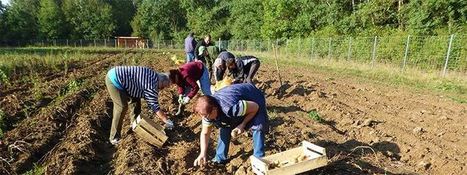 L'alimentation, nouvel enjeu de développement durable pour les territoires | Territoires - Société | Scoop.it