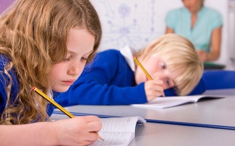 Test children at seven, says Ofsted chief - Telegraph.co.uk | education reform | Scoop.it