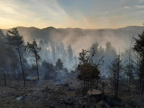Lutte contre les feux de forêt : des moyens supplémentaires pour le département des Vosges | Remiremont vallées | La SELECTION du Web | CAUE des Vosges - www.caue88.com | Scoop.it