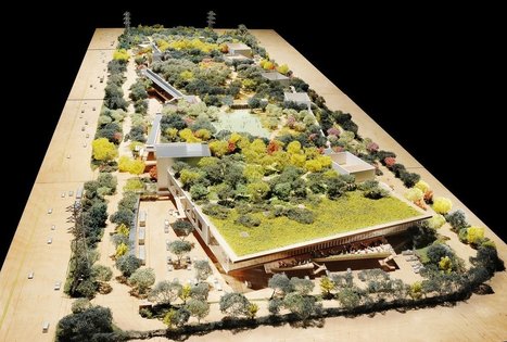 Exclusive Photos Of Facebook's Sprawling New HQ, Designed Frank Gehry | Startup & Silicon Valley News, Culture | Scoop.it