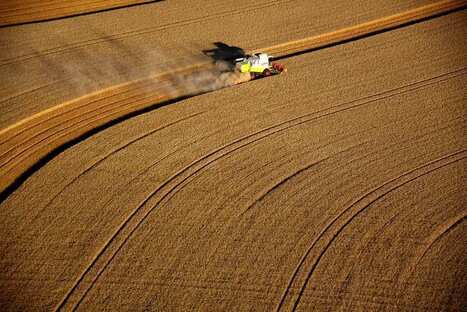 Le gouvernement va tenter de soulager les c&eacute;r&eacute;aliers confront&eacute;s &agrave; une r&eacute;colte en chute | Revue de presse &eacute;conomique du Sud Touraine | Scoop.it