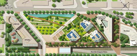 Le premier écoquartier parisien va être livré à Rungis | Paris durable | Scoop.it
